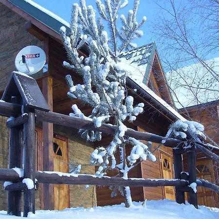Villa Domek Z Kominkiem W Krynicy Krynica-Zdrój Exterior foto